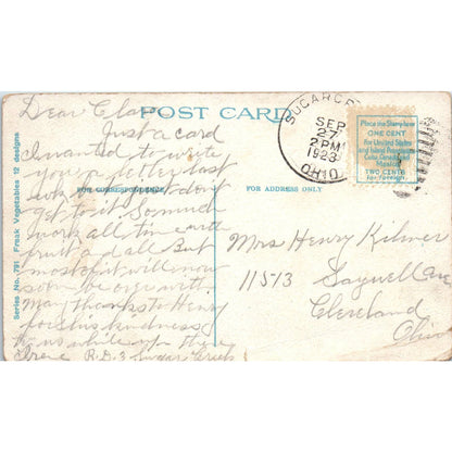 Giant Potato Sugarcreek Ohio 1923 Original Postcard TK1-24