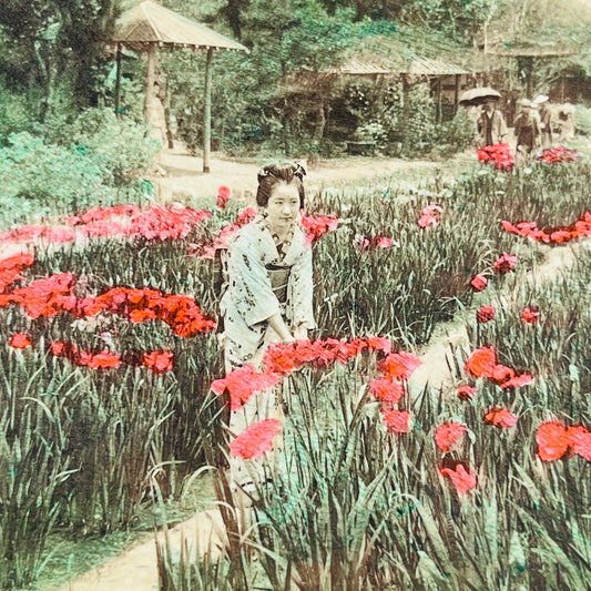 1901 Stereoview Japan Japanese Woman In Flower Poppy Opium Field Hand Tinted