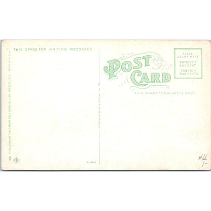 Orange Grove Avenue Millionaire Row Pasadena California c1910 Postcard P1-15