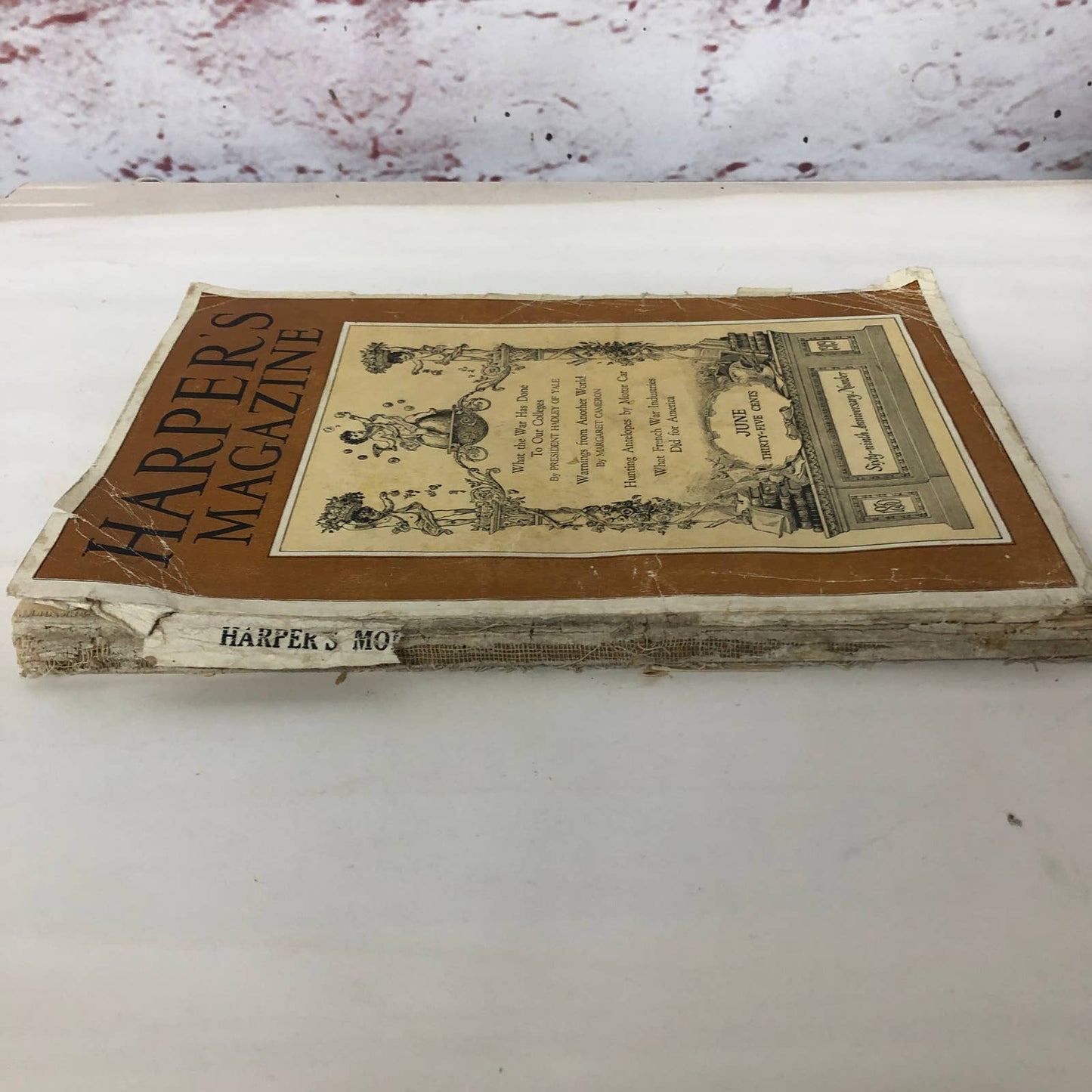 Harper's Monthly June 1919 Arctic World War I Drawings Woman In Politics