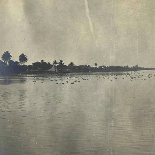 1903 Original Sepia Photograph Tamiahua Between Tampico & Tuxpam Mexico AC7