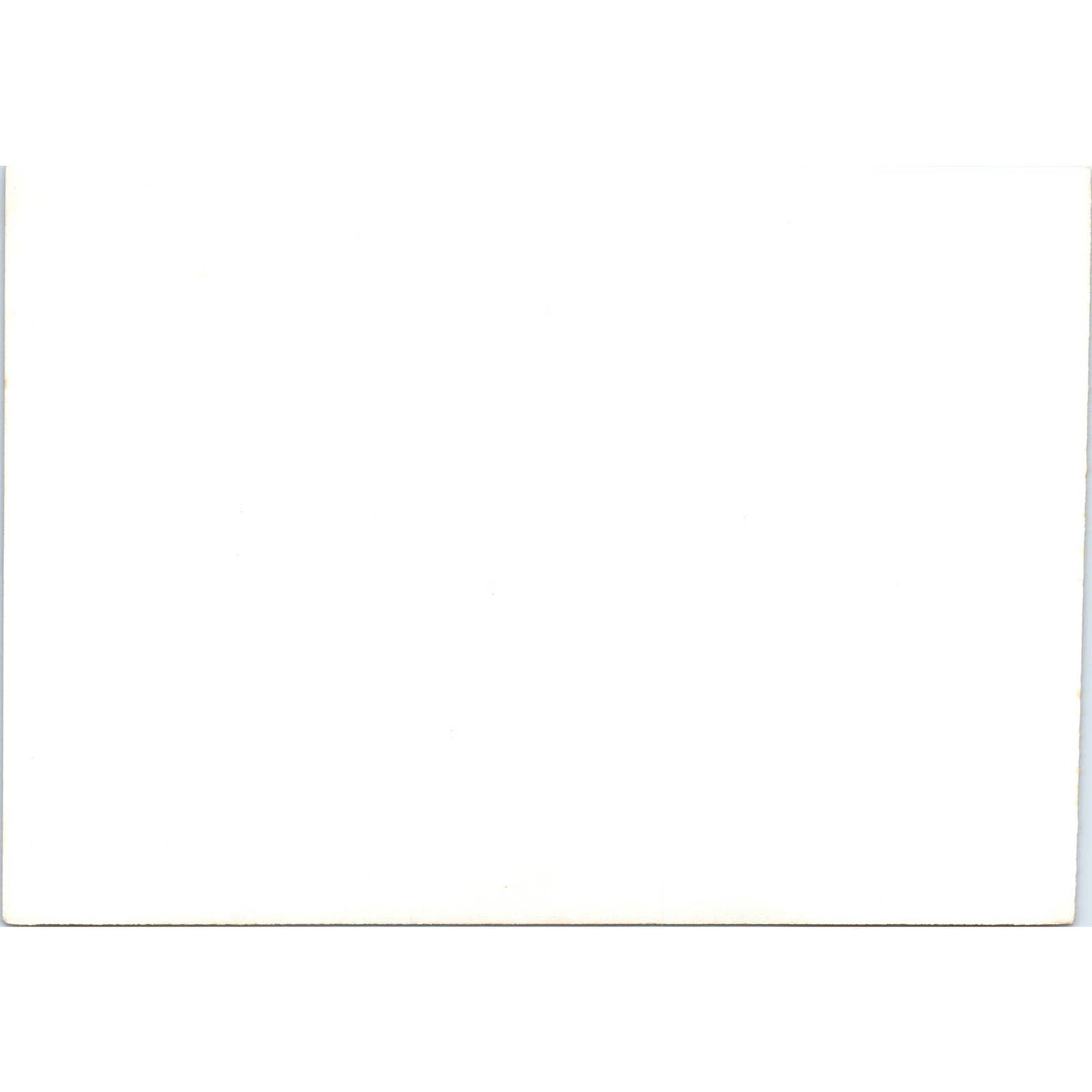 c1970 Original Photograph Volkswagen VW Beetle Front Royal VA 5x7 AD6