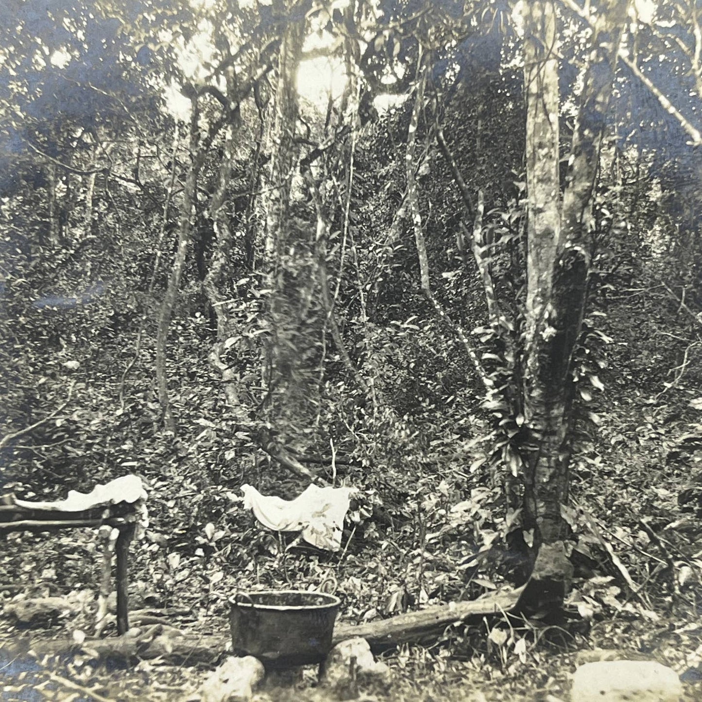 1903 Original Sepia Photograph Boiling a Block of Chicle Tuxpam Mexico AC7