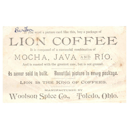 Lion Coffee Winter Scene Birds on Branch - 1880s Victorian Trade Card TJ8-3