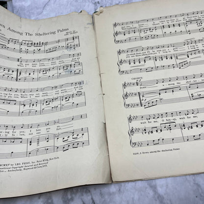 Down Among The Sheltering Palms 1915 Piano Sheet Music Steamship Al Jolson￼ TJ4