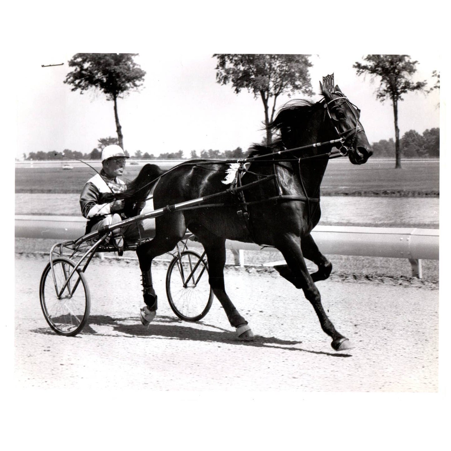 c1960 Press Photo Horse Racing Horse & Jockey Tie Silk R. Baldwin AE1