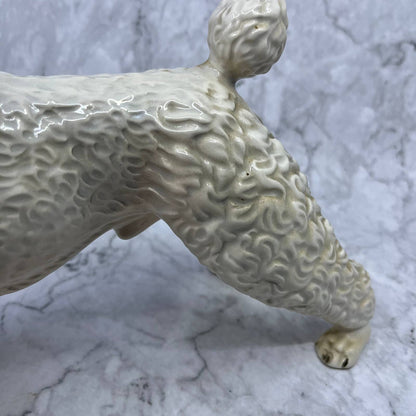 Vintage Large Porcelain Poodle Dog Figurine White w/ Brown Collar 10.5x9.25 TI9