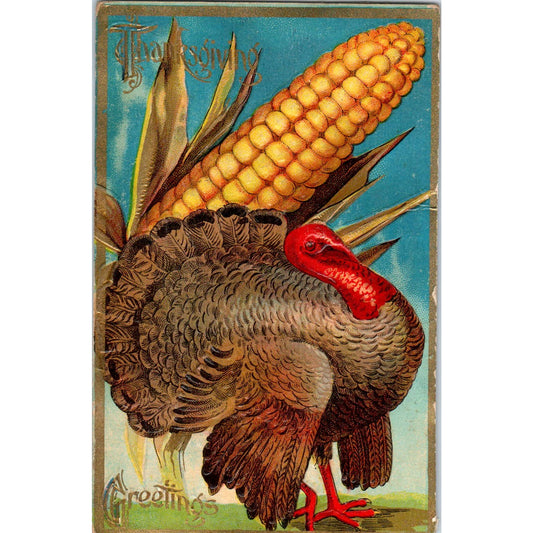 Antique Postcard Thanksgiving Embossed Turkey & Ear of Corn SF2