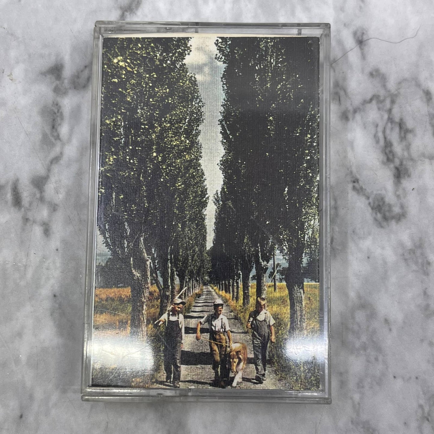 The Mandrakes - Will - Cassette Tape TJ6-83