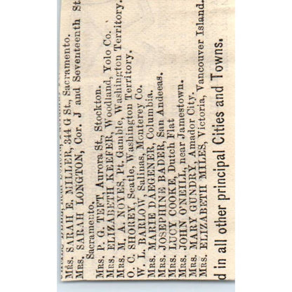 1870s Peterson's Magazine Ad - Eureka Patent Diaper Company EA3