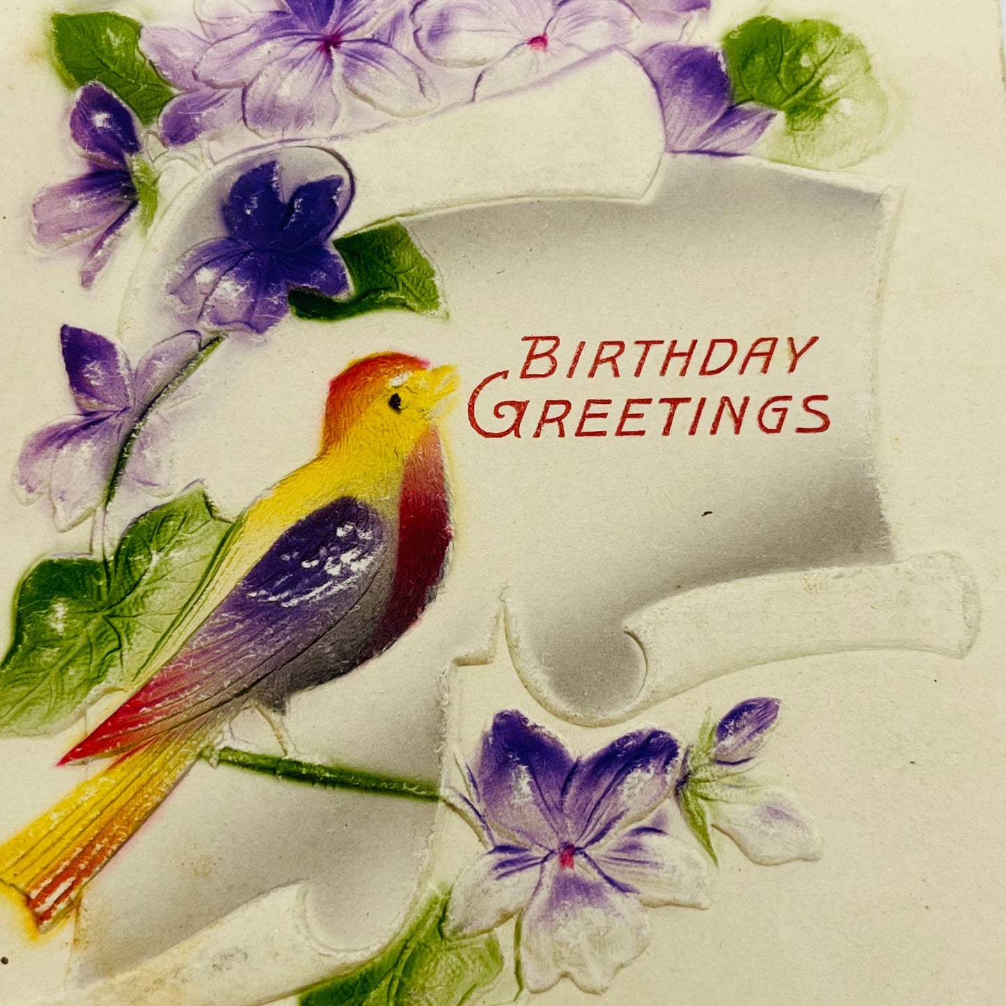 1910s Birthday Post Card Embossed Airbrushed Bird Forget Me Nots PA5