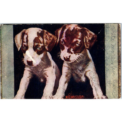Vintage Dog Smooth Haired Fox Terrier Puppies c1910 Original Postcard TK1-27