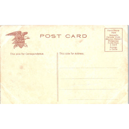 Antique Postcard Sunken Gardens and Horticultural Hall Philadelphia PA TD9-P1