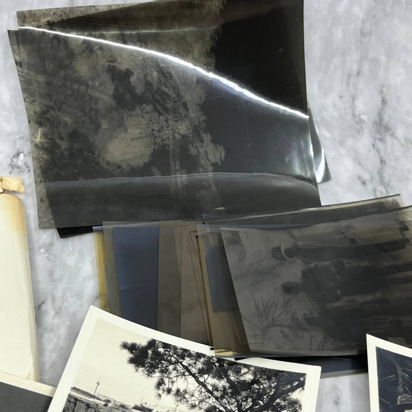 1935 Collection of Photos & Negatives of La Jolla California TK1-PL2