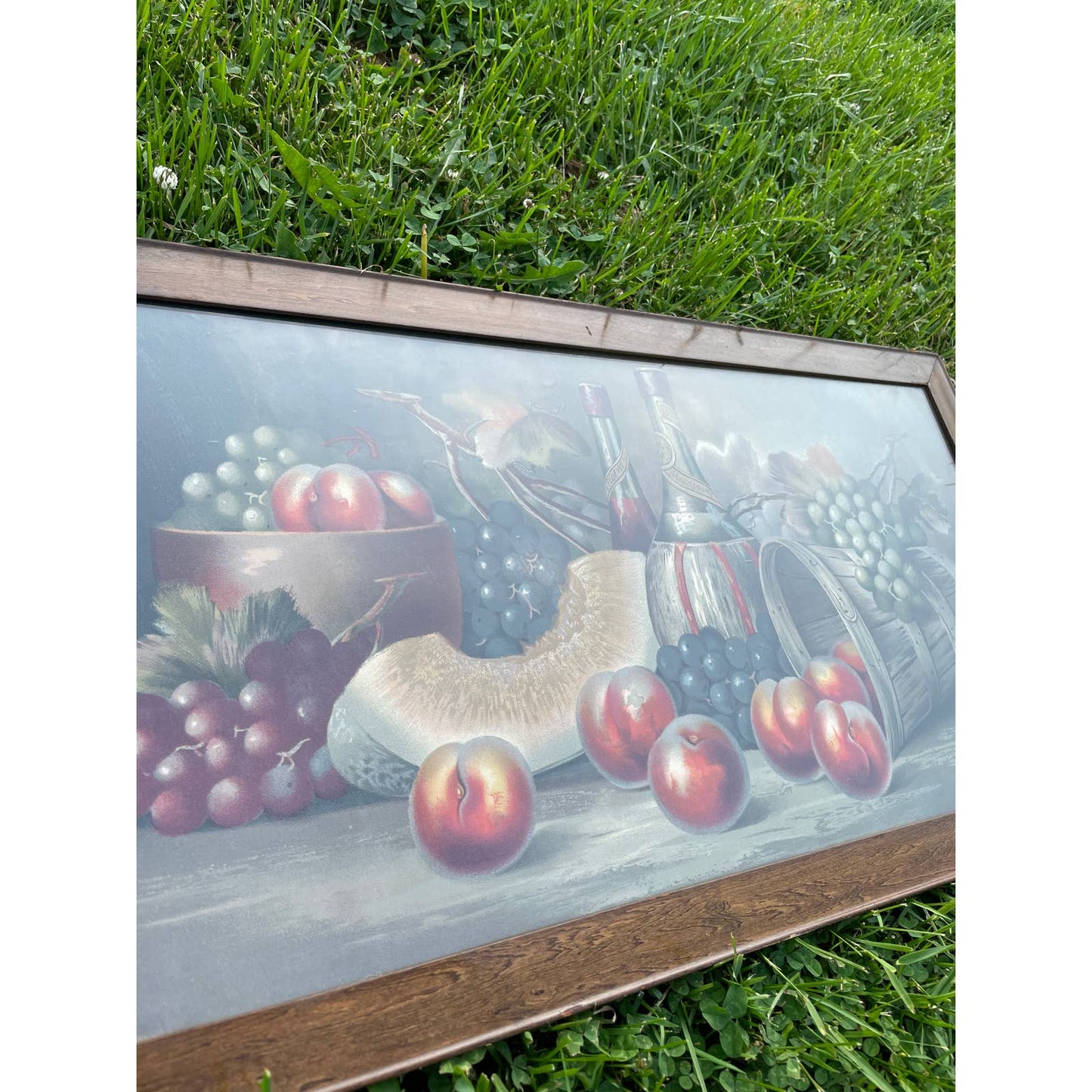 Antique Vintage H Hadland Chromolithograph Print Wall Art Framed