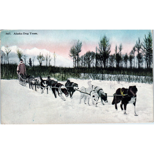 c1920 Alaskan Sled Dog Team Alaska Original Postcard P2-6
