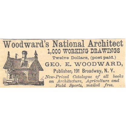 Woodward's National Architect Geo. E Woodward - Ad 1878 Original TJ7-L2-3