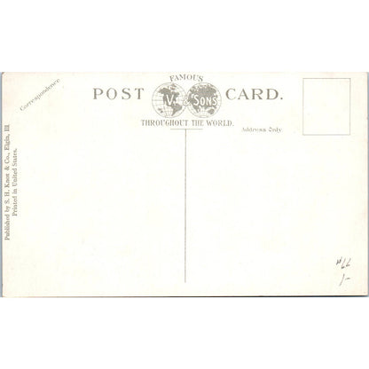 Mineral Spring Wing Park Elgin Illinois Original Postcard TK1-P20