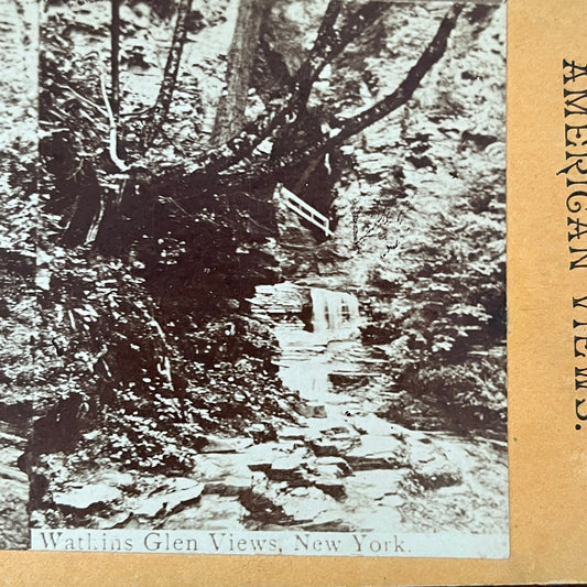 Watkins Glen Views New York c1880 Antique Stereoview Card H2-3