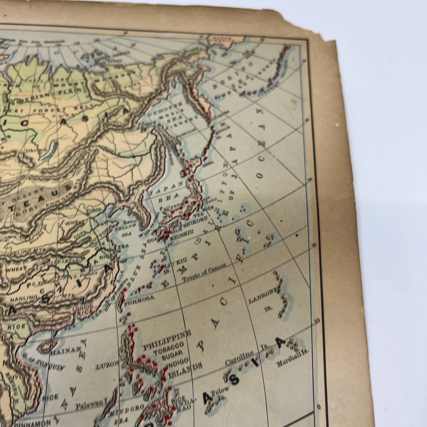 1896 Engraved Tinted Physical Map of Asia 9x12" FL5