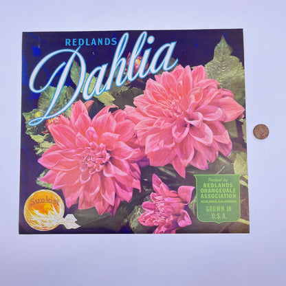 Dahlia Sunkist Orange Crate Label Redlands Orangedale Association CA FL3