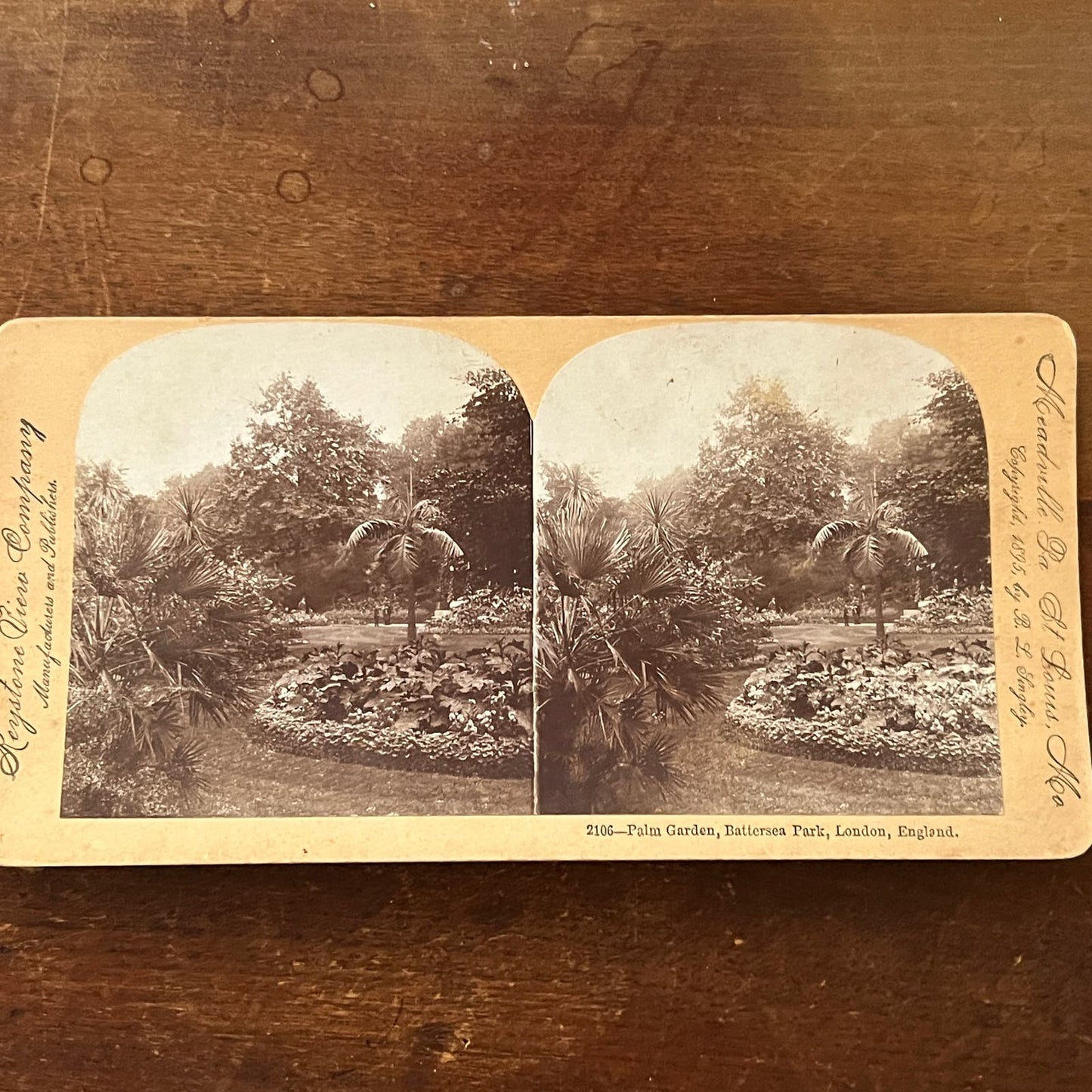 Palm Garden Battersea London England 1895 Antique Stereoview Card TJ9-V2