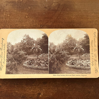 Palm Garden Battersea London England 1895 Antique Stereoview Card H2-4