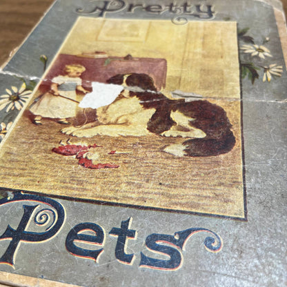 Antique Victorian 1901 Children’s Book Pretty Pets Juvenile Publishers TH8