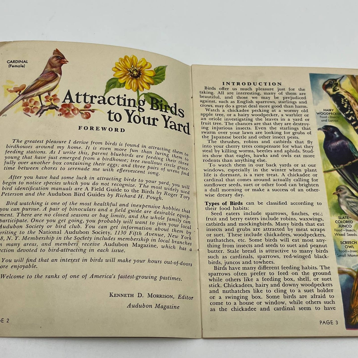 1940s Attracting Birds to Your Yard Garden Blue Book - Audubon Magazine SC5