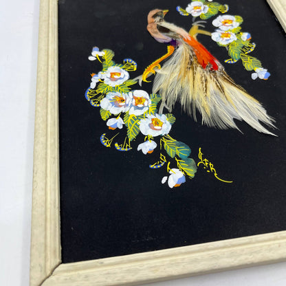 Antique Framed Feather Art Bird Postcard Made in Mexico 7x9.5 TI4