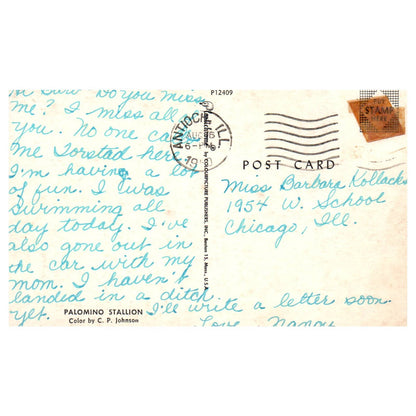 Vintage Postcard - Palomino Stallion Horse Lake Villa Illinois 1950 AD9