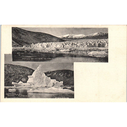 Iceberg & Glacier at Takou Inlet Alaska Original Postcard TK1-30