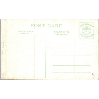 W.E. Bryan Twin Springs Siloam Springs Arkansas Original Postcard TK1-P19