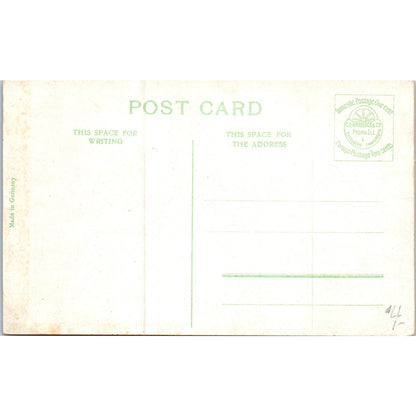 W.E. Bryan Twin Springs Siloam Springs Arkansas Original Postcard P2-4
