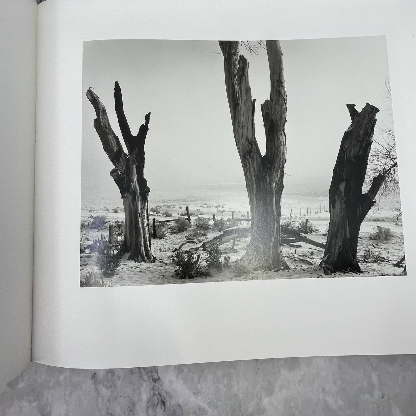 Ansel Adams At 100 by Ansel Adams and John Szarkowski First Ed. Slipcover TJ8