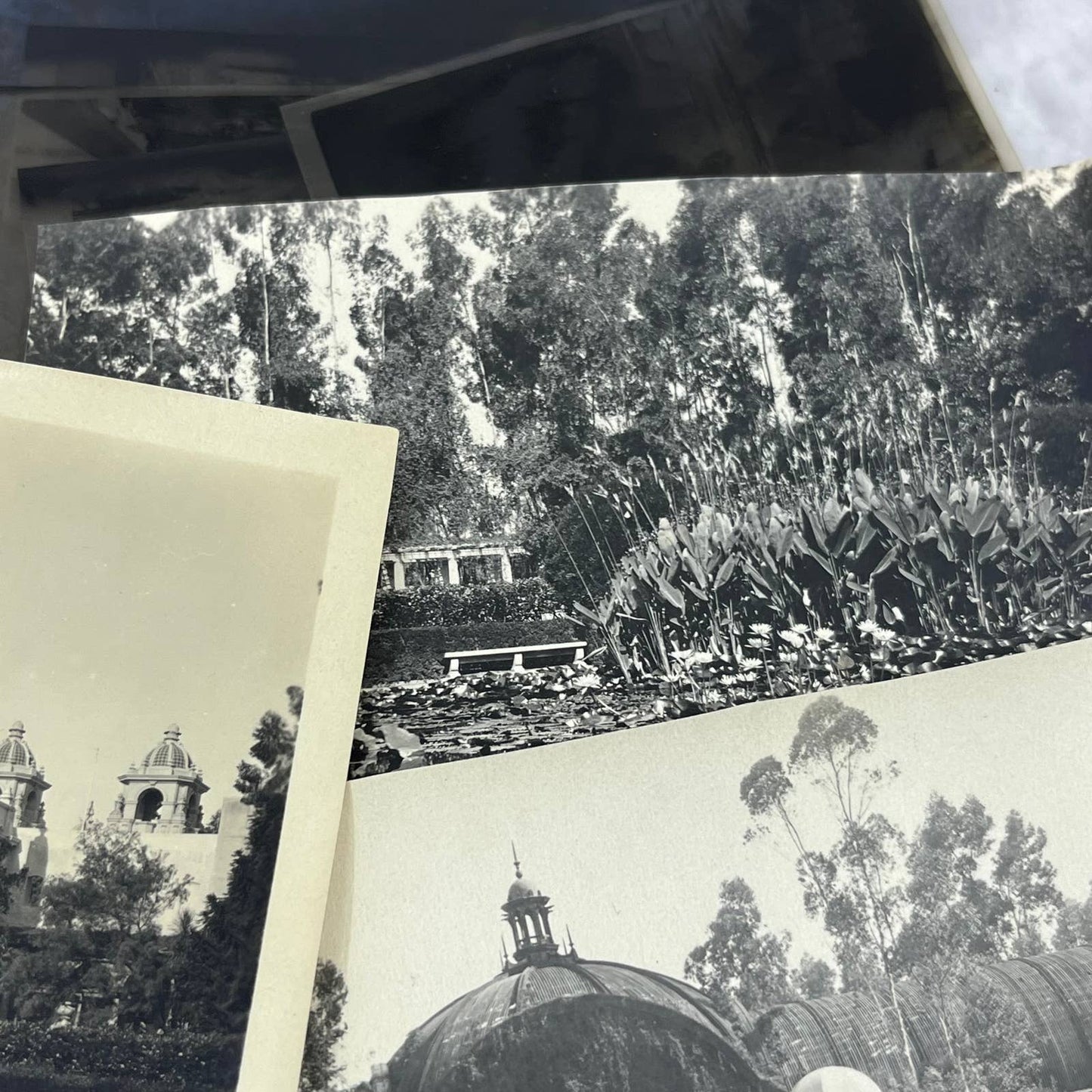 c1930 Collection of Photos & Negatives San Diego CA Balboa Park TJ9-PG2