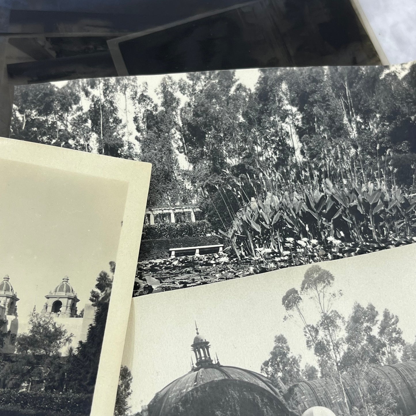 c1930 Collection of Photos & Negatives San Diego CA Balboa Park P4-9
