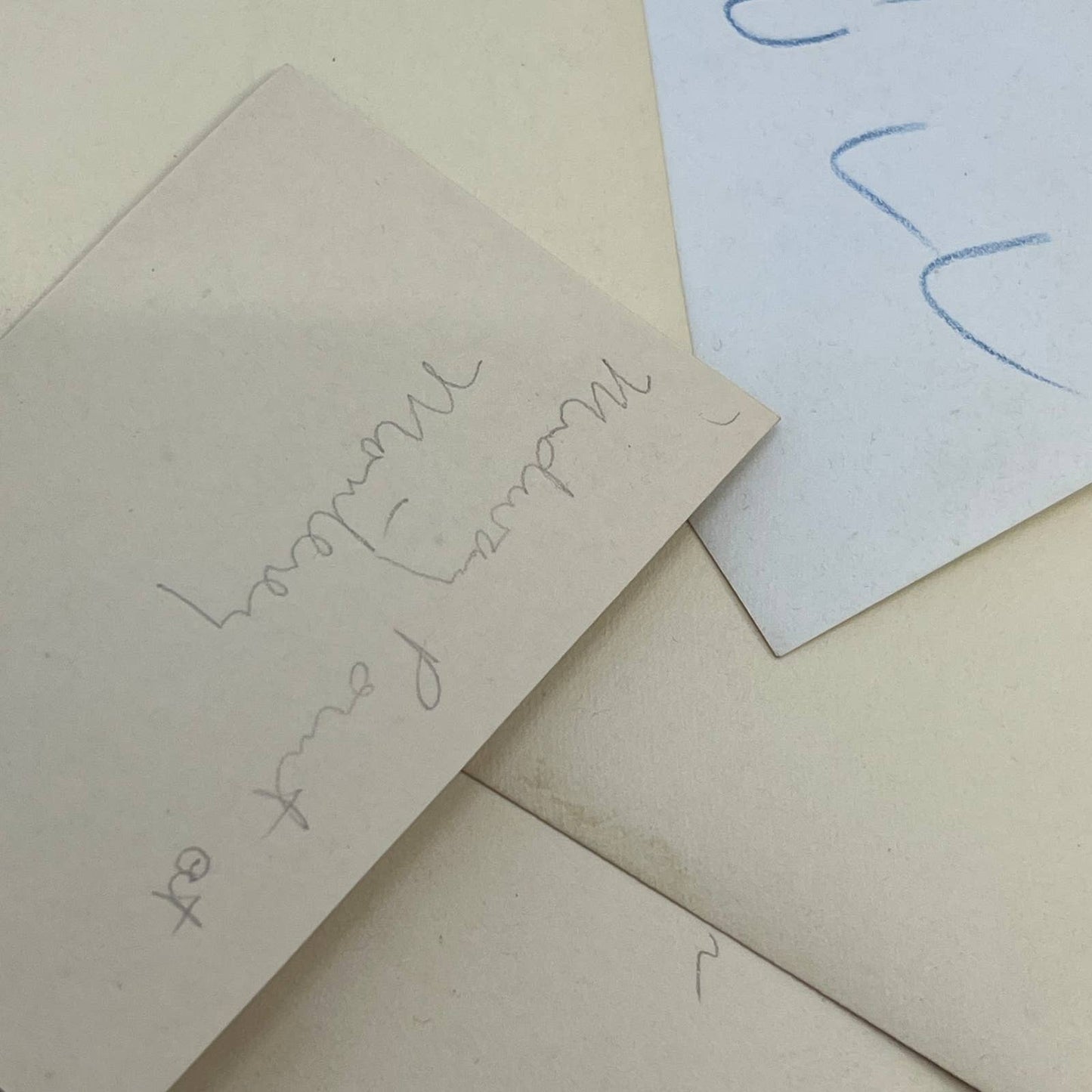 1925 Collection of Photos, Negatives Trees in CA San Diego Lake Arrowhead TK1-PL