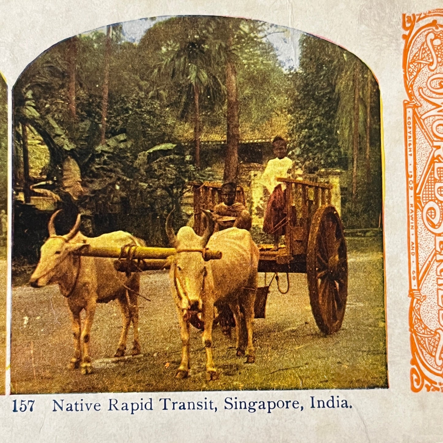 Native Rapid Transit Ox Cart Singapore India Antique Stereoview Card H2-3