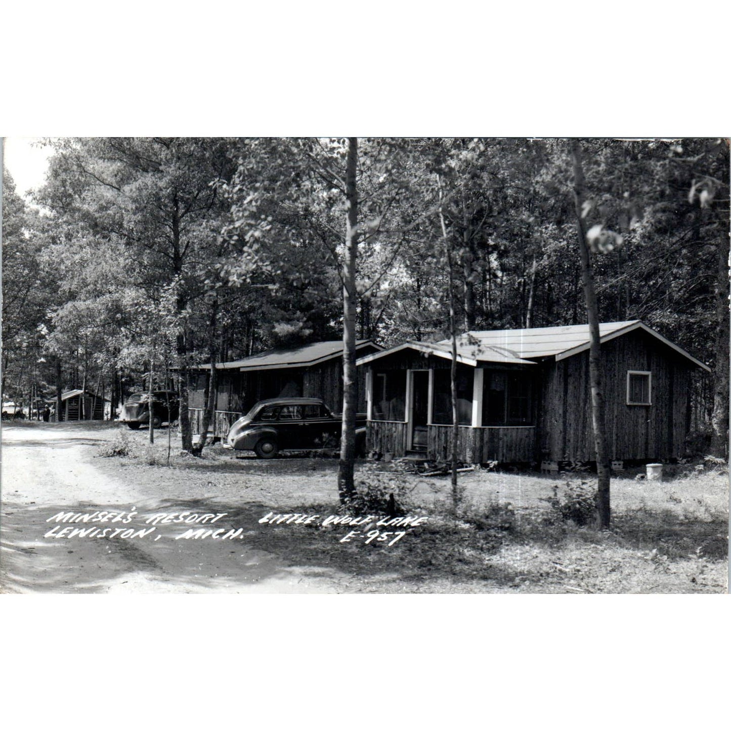 Minsel's Resort Little Wolf Lake Lewiston MI RPPC Original Postcard TK1-P12