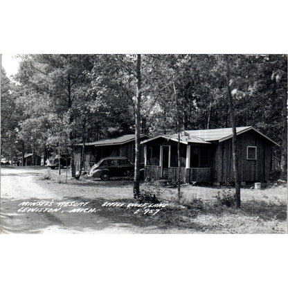 Minsel's Resort Little Wolf Lake Lewiston MI RPPC Original Postcard TK1-P12