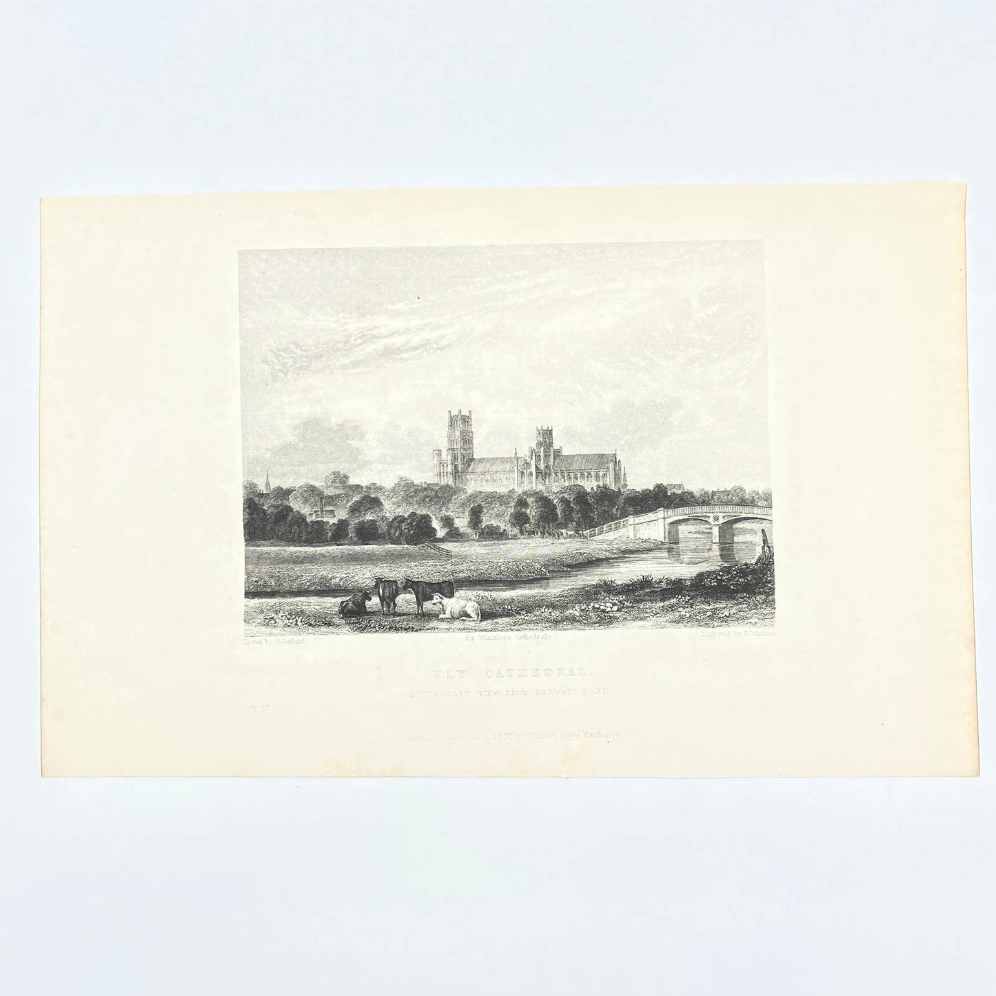 1836 Original Art Engraving Ely Cathedral South East View From Barway Bank AC4