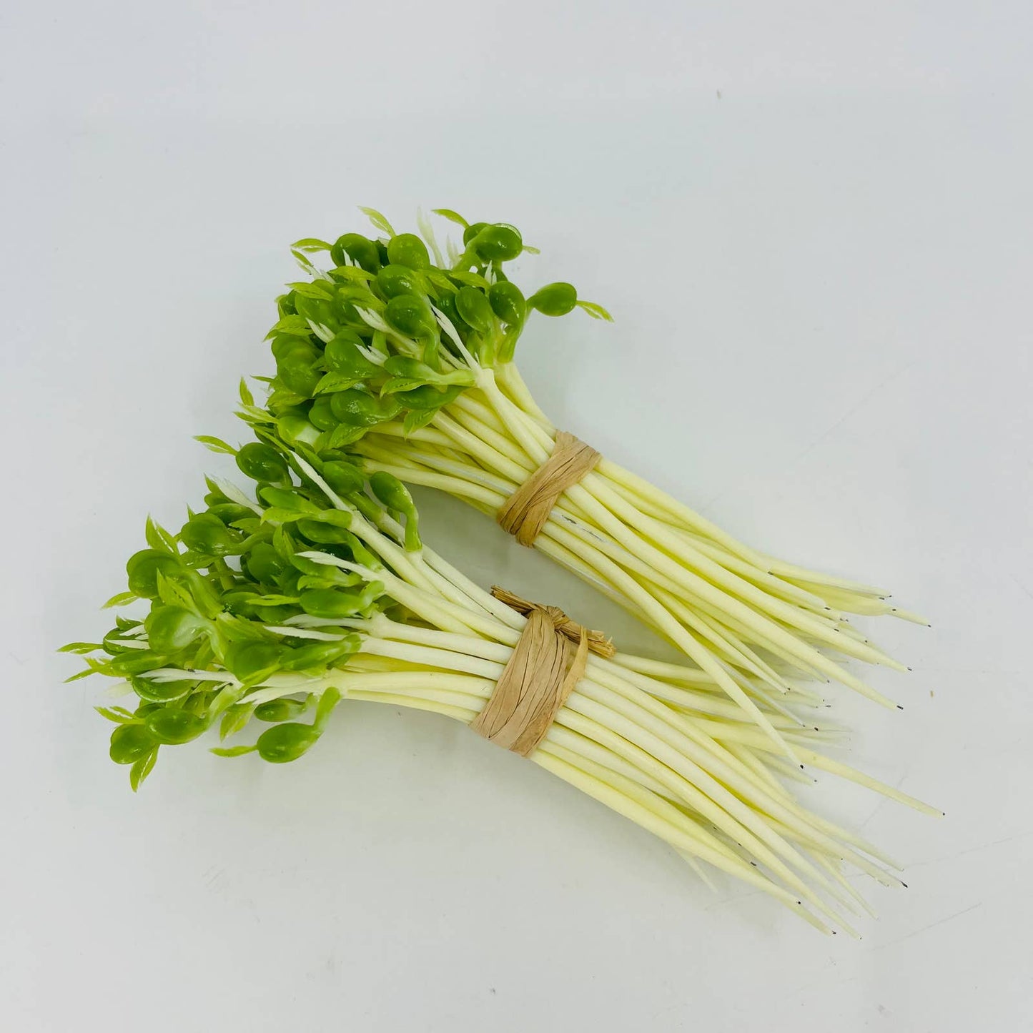 2 Bunches Vintage Artificial Fake Bean Sprouts TD3-2