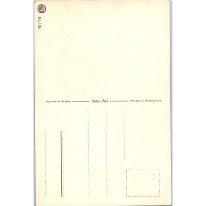 Fannie Moody Hunting Dog Caccia Cocker Spaniel Original Postcard TK1-27