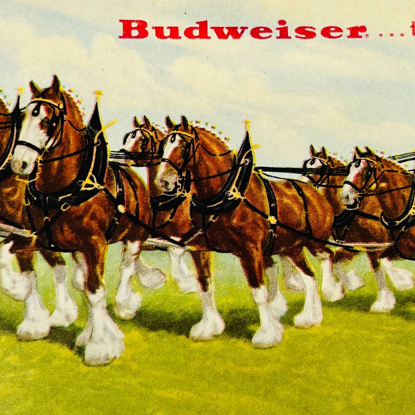 1940s DOUBLE FOLD ADVERTISING POSTCARD BUDWEISER CLYDESDALE HORSES MICHELOB C7