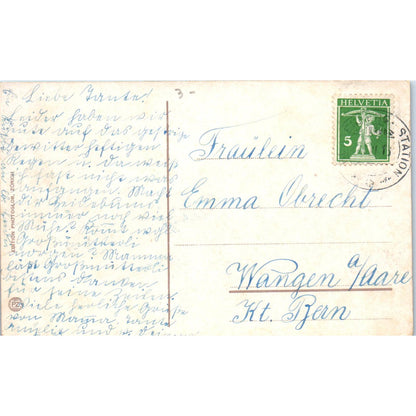 Saint Bernard Dog Puppies Swiss Alps 1930s Original Postcard TK1-27