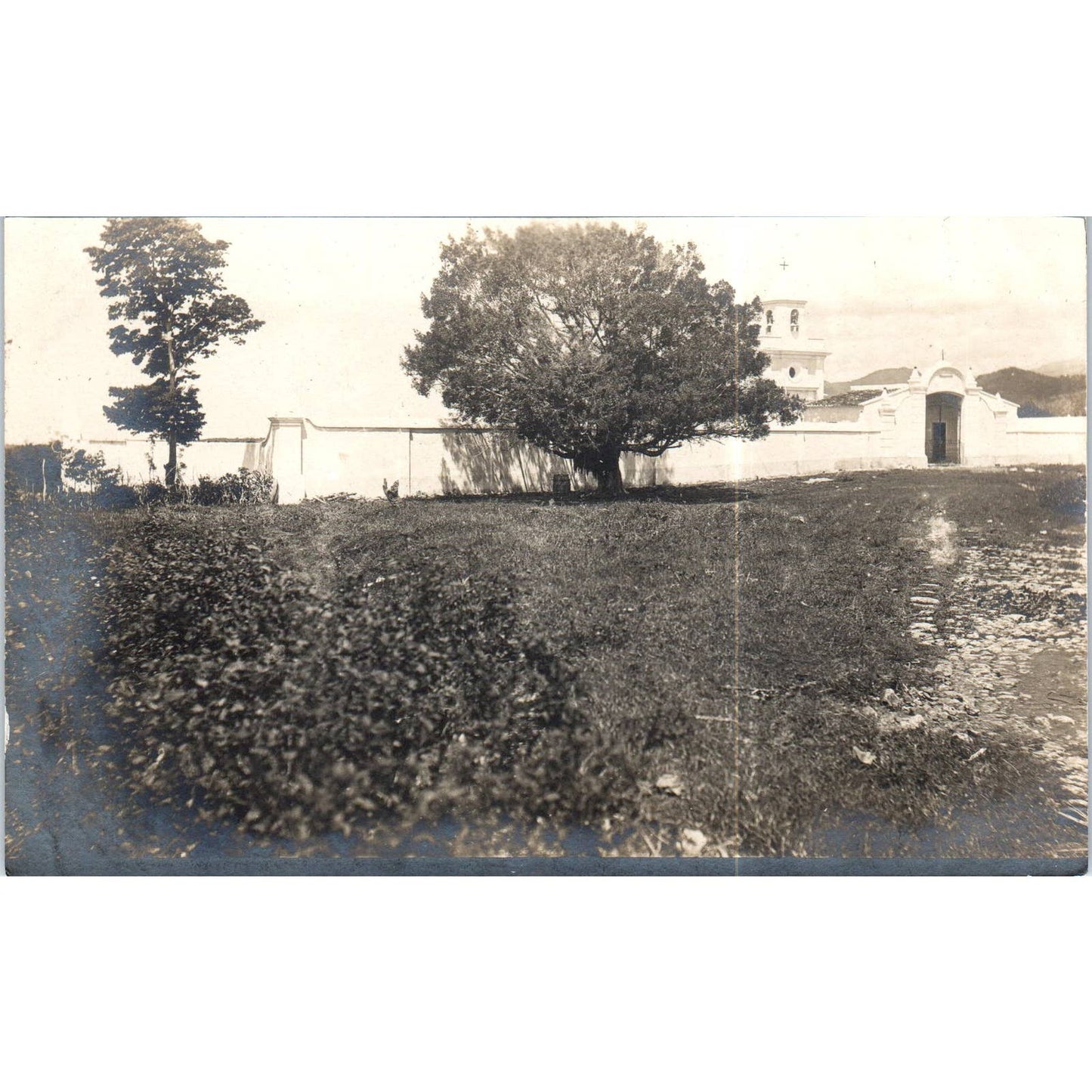 View of Cathedral Church Havana Cuba Original Postcard TK1-P16