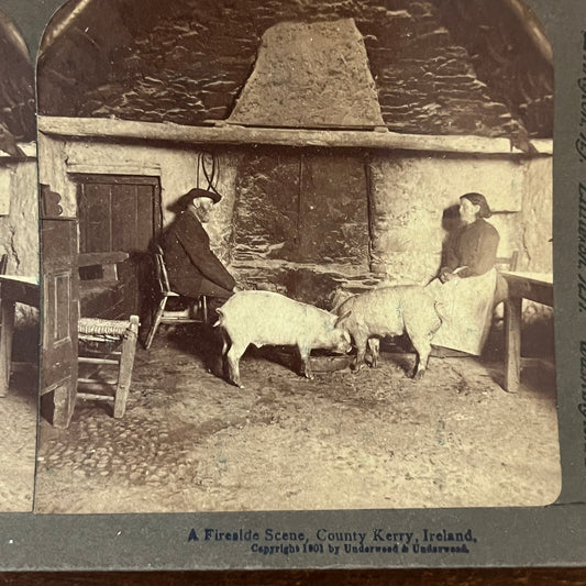 Fireside Scene w/ Pigs County Kerry Ireland 1901 Antique Stereoview Card TJ9-V1