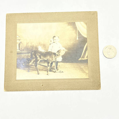 1912 Photo Little Girl Feeding Goat Clara Nass Strickert Liberal KS AB8