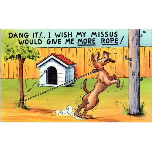 Dog Rope Devil's Lake Manitou Beach Humor Cartoon 1950 Original Postcard P1-15